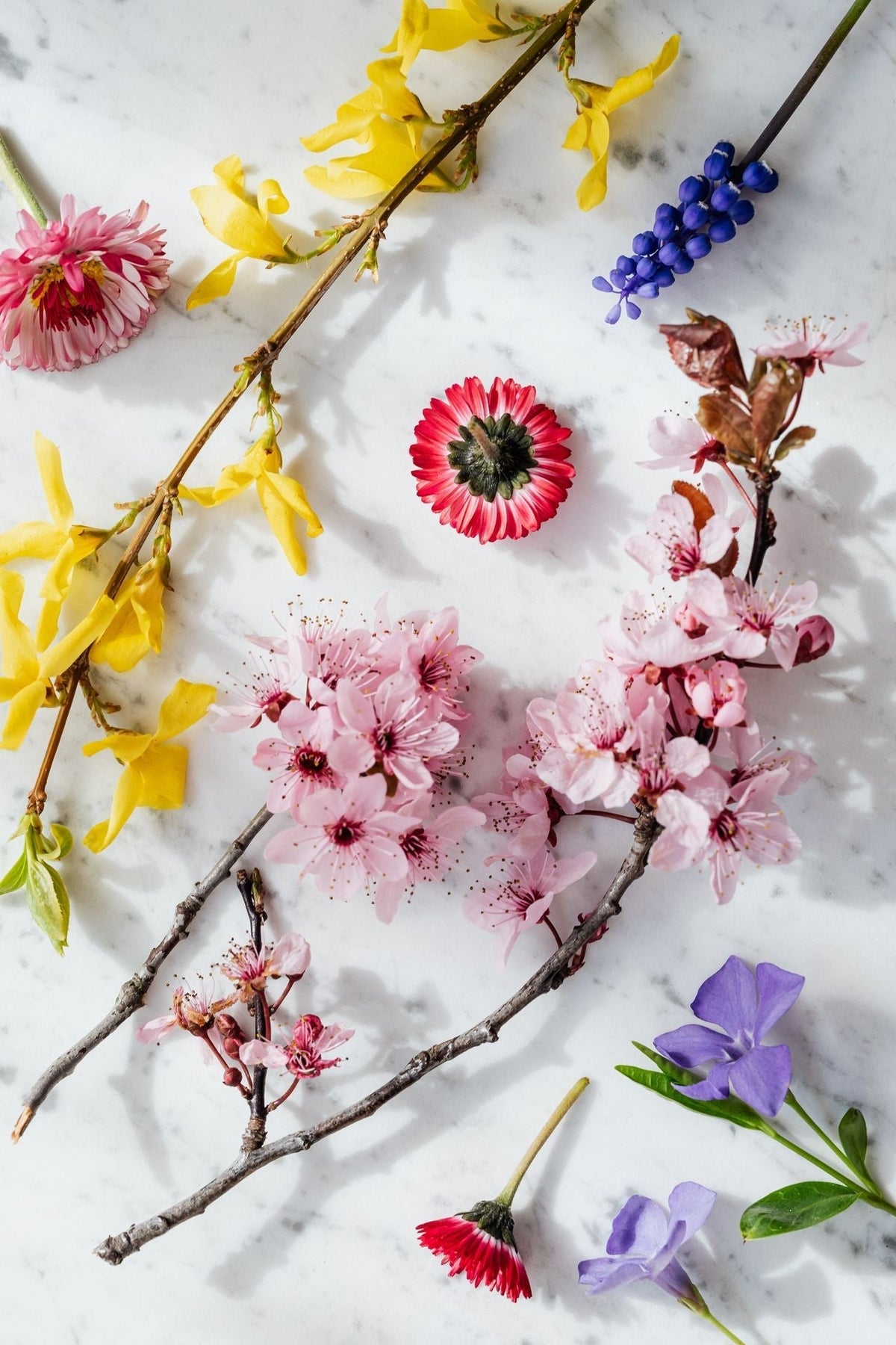 Spring Reset: How to Refresh Your Skin and Self-Care Routine This Season