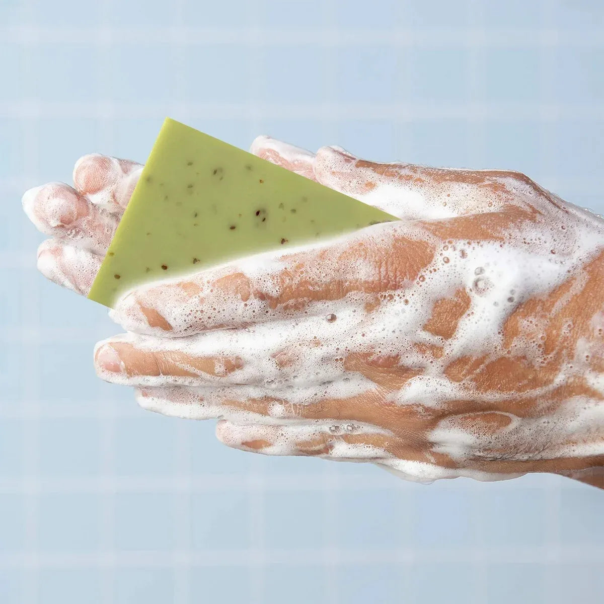 Seaweed & Coconut Scrub Soap Bar | 2-Pack